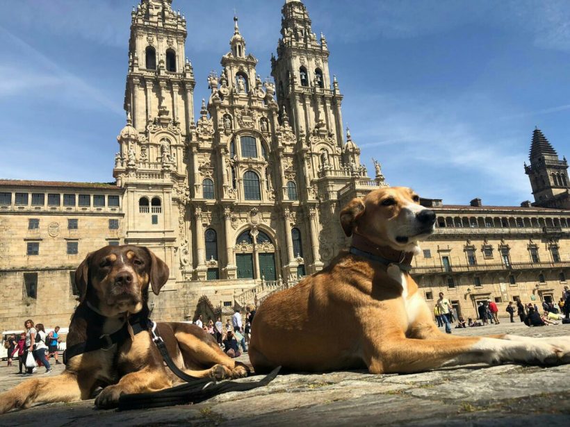 Alojamientos para perros en el camino de Santiago: Ponferrada-Santiago