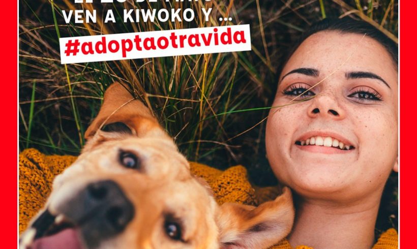Visítanos y conoce a nuestros perretes en Kiwoko de Alcorcón