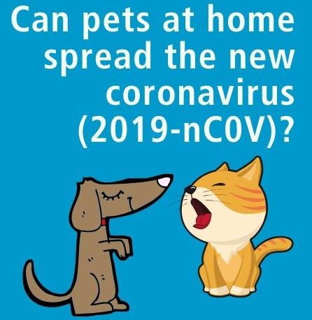 Recordad: las mascotas NO contagian el coronavirus