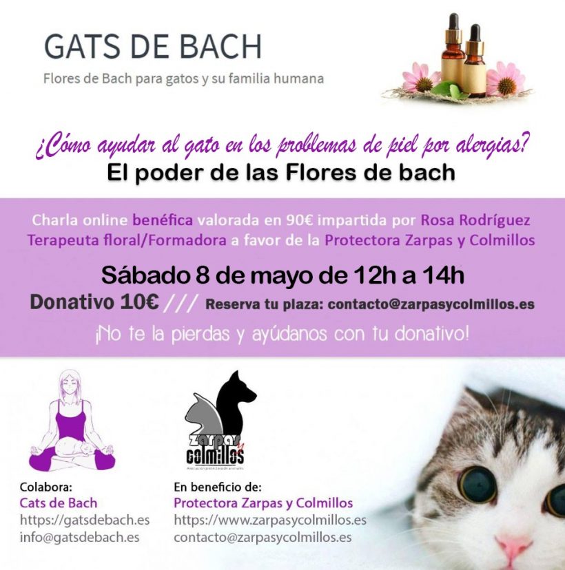 Charla online solidaria de flores de bach : ¿cómo ayudar al gato en los  problemas de piel? – Zarpas y Colmillos