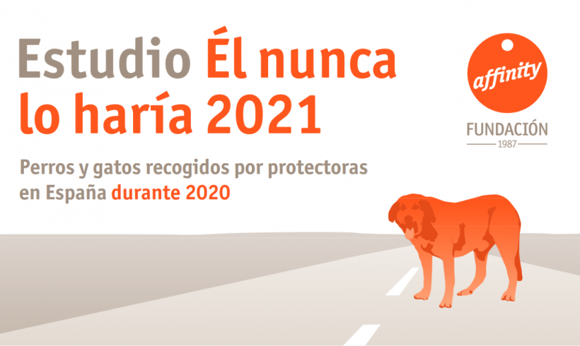 Los datos del abandono y adopción en España de 2020