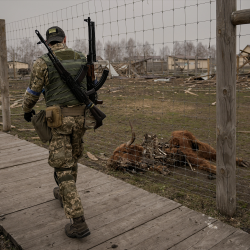 Historias de animales en la Guerra de Ucrania