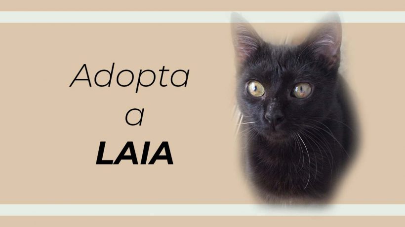 Laia, nuestra pequeña luchadora que casi pierde sus ojos