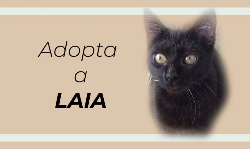 Laia, nuestra pequeña luchadora que casi pierde sus ojos